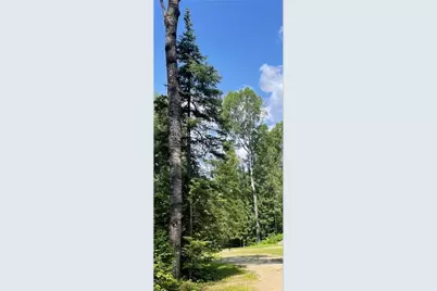 23Xx Low Creek Road, Ely, MN 55731 - Photo 3