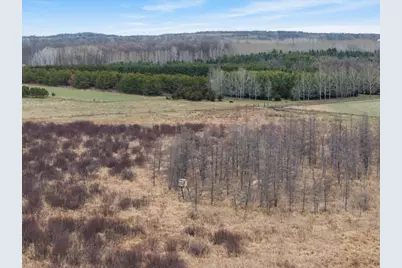 27075 221st Avenue, Long Prairie, MN 56347 - Photo 21