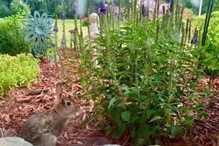 10993 State Hwy 70, Rock Creek, MN 55063 - Photo 37