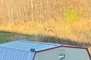 10993 State Hwy 70, Pine City, MN 55063 - Photo 29