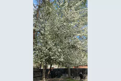 240 Kneale Avenue N, Thief River Falls, MN 56701 - Photo 41