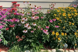 2139 4th St E, Saint Paul, MN 55119 - Photo 39