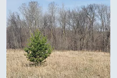 Lot 4 River Pointe Trail, Underwood, MN 56586 - Photo 23