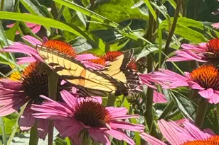 9983 Arcola Ct N, Stillwater, MN 55082 - Photo 39