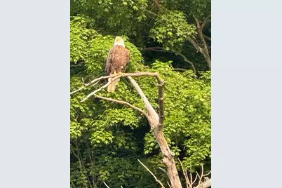 9983 Arcola Court N, Stillwater, MN 55082 - Photo 45