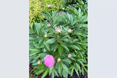 9983 Arcola Court N, Stillwater, MN 55082 - Photo 43