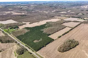 Tbd Hwy 93, Eleva, WI 54738 - Photo 1