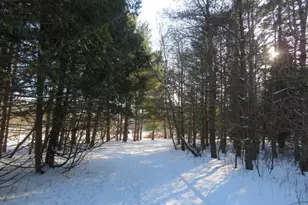 Lot 2 E Lincoln Ave, Amery, WI 54001 - Photo 1