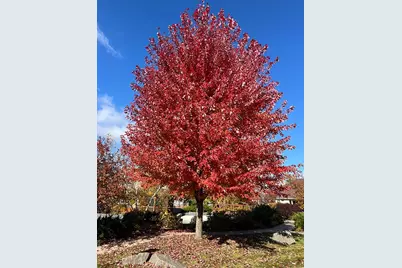 2630 Cascade Lane, Long Lake, MN 55356 - Photo 45