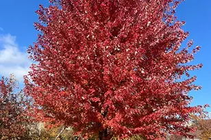 2630 Cascade Ln, Long Lake, MN 55356 - Photo 45