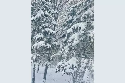 17135 200th Street, Lake Park, MN 56554 - Photo 39