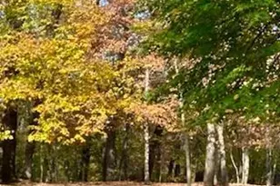 17135 200 St, Lake Park, MN 56554 - Photo 37