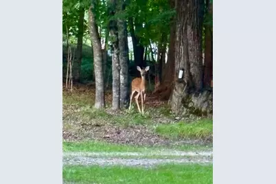 17135 200th Street, Lake Park, MN 56554 - Photo 37