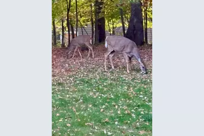 17135 200th Street, Lake Park, MN 56554 - Photo 35