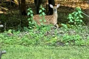 17135 200 St, Lake Park, MN 56554 - Photo 35