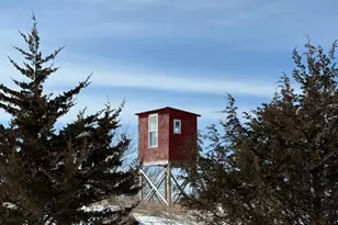 59259 140th St, Litchfield, MN 55355 - Photo 43