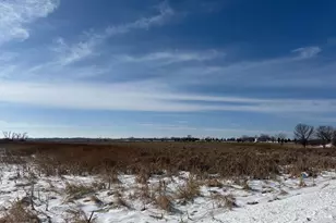 59259 140th St, Litchfield, MN 55355 - Photo 45