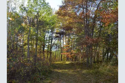 Tbd County 14, Park Rapids, MN 56470 - Photo 7