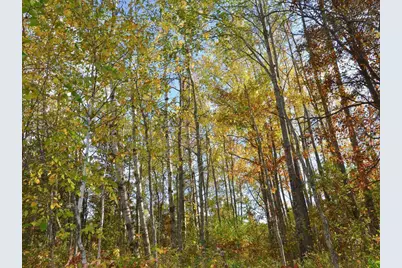 Tbd County 14, Park Rapids, MN 56470 - Photo 9