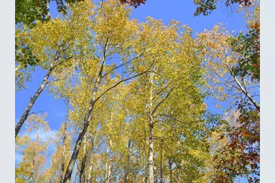 Tbd County 14, Park Rapids, MN 56470 - Photo 11