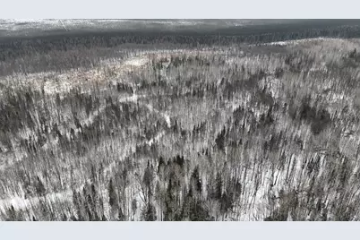 4416 County Road 1, Littlefork, MN 56653 - Photo 11