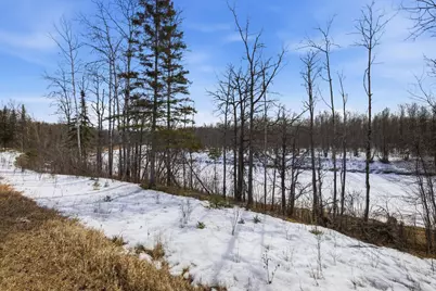 4416 County Road 1, Littlefork, MN 56653 - Photo 29