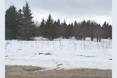 Tbd County Road 31, Northome, MN 56661 - Photo 1