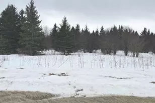 Tbd County Road 31, Northome, MN 56661 - Photo 1