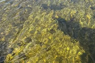 51021 Fish Lake Rd, Detroit Lakes, MN 56501 - Photo 41