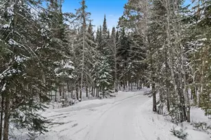 7582 Green Rock Rd, Side Lake, MN 55781 - Photo 89