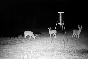 15015 Held Cir, Cold Spring, MN 56320 - Photo 15