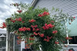 14971 Jade Street SE, Becker, MN 55308 - Photo 27