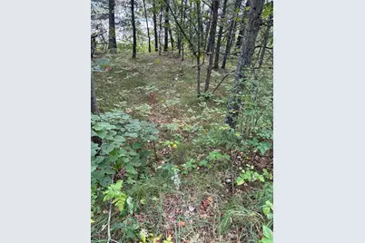 Lot 77 Airport Road, Breezy Point, MN 56472 - Photo 3