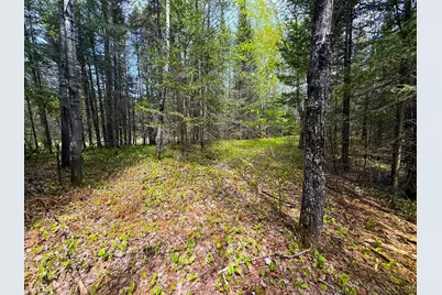 72Xx E Central Lakes Road Lot A, Eveleth, MN 55734 - Photo 23