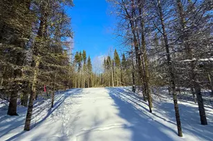 72Xx E Central Lakes Road Lot A, Eveleth, MN 55734 - Photo 1