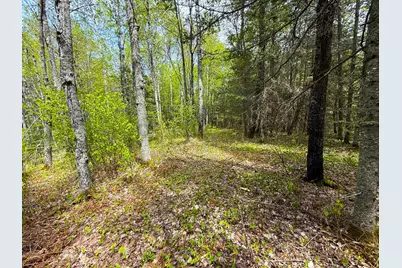 72Xx E Central Lakes Road Lot A, Eveleth, MN 55734 - Photo 25