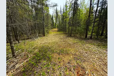 72Xxx E Central Lakes Road Lot B, Eveleth, MN 55734 - Photo 7