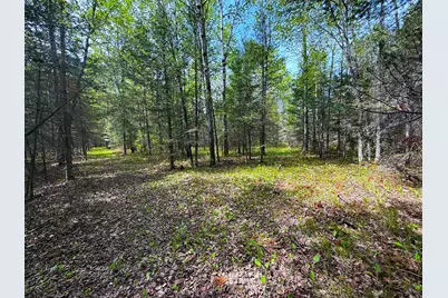 72Xxx E Central Lakes Road Lot B, Eveleth, MN 55734 - Photo 33