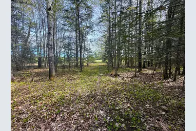 72Xxx E Central Lakes Road Lot B, Eveleth, MN 55734 - Photo 31