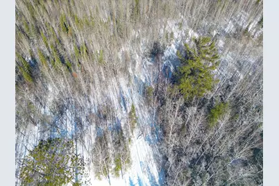 72Xxx E Central Lakes Road Lot C, Eveleth, MN 55734 - Photo 21