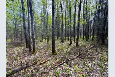 72Xxx E Central Lakes Road Lot C, Eveleth, MN 55734 - Photo 23