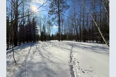 72Xxx E Central Lakes Road Lot C, Eveleth, MN 55734 - Photo 13