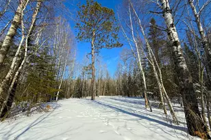 72Xxx E Central Lakes Road Lot C, Eveleth, MN 55734 - Photo 1