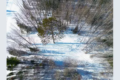 72Xxx E Central Lakes Road Lot C, Eveleth, MN 55734 - Photo 5