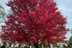 6233 Irving Ave S, Richfield, MN 55423 - Photo 27