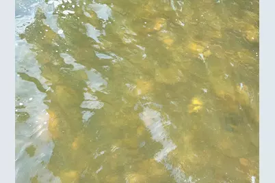 44205 Conifer Street, Aitkin, MN 56431 - Photo 75