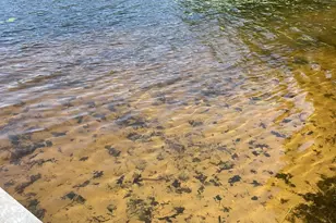 31119 327th Ave, Aitkin, MN 56431 - Photo 7