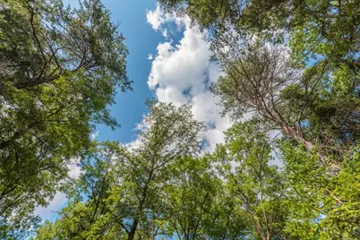 Tbd Mission Park Drive, Merrifield, MN 56465 - Photo 15