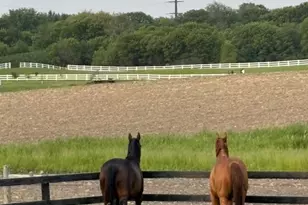 7604 E 250th St, Elko New Market, MN 55020 - Photo 45