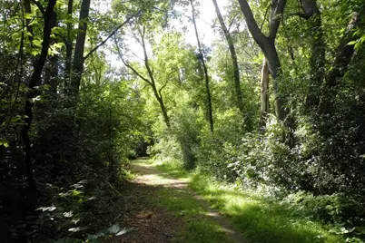 8047 Somerset Road, Woodbury, MN 55125 - Photo 65